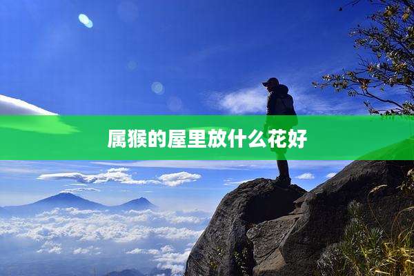 属猴的屋里放什么花好