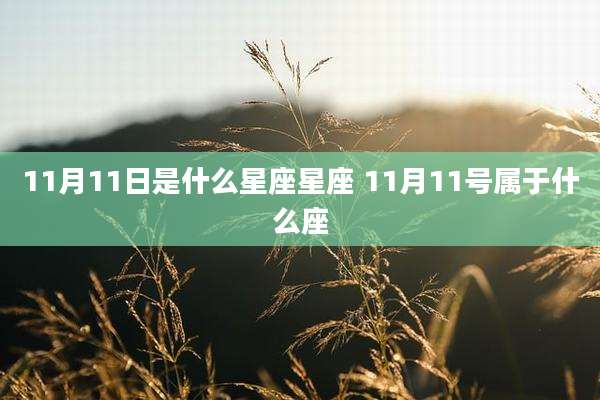 11月11日是什么星座星座 11月11号属于什么座