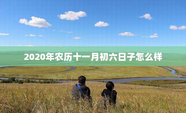 2020年农历十一月初六日子怎么样