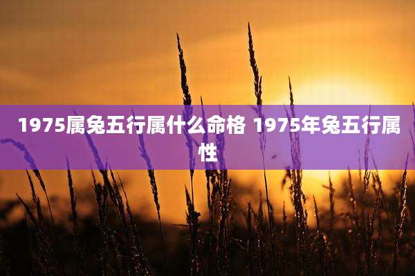 1975属兔五行属什么命格 1975年兔五行属性