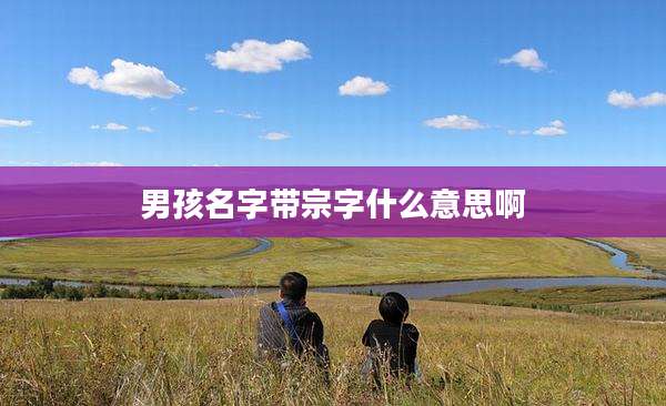 男孩名字带宗字什么意思啊