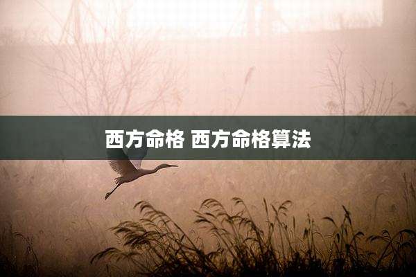 西方命格 西方命格算法
