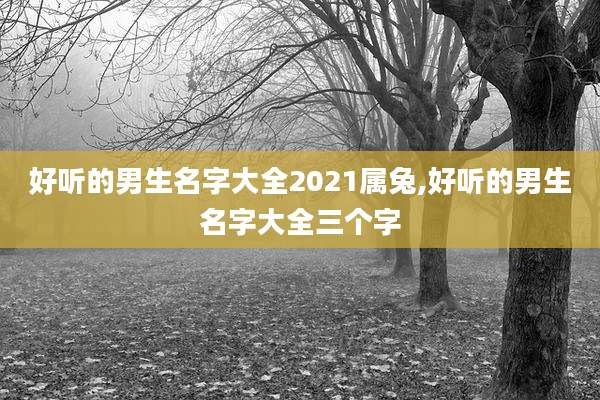 好听的男生名字大全2021属兔,好听的男生名字大全三个字
