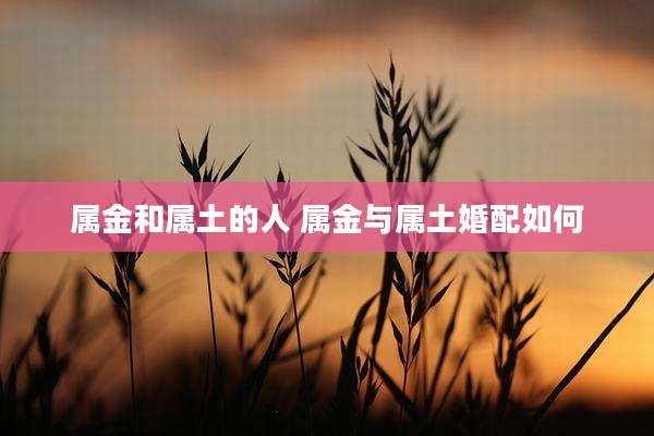 属金和属土的人 属金与属土婚配如何