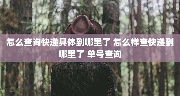 怎么查询快递具体到哪里了 怎么样查快递到哪里了 单号查询
