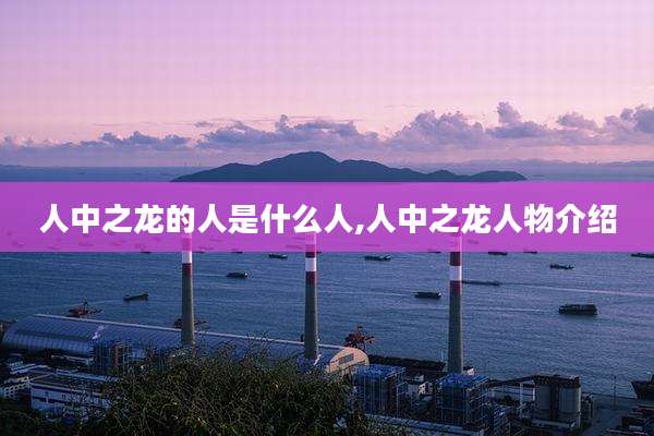 人中之龙的人是什么人,人中之龙人物介绍