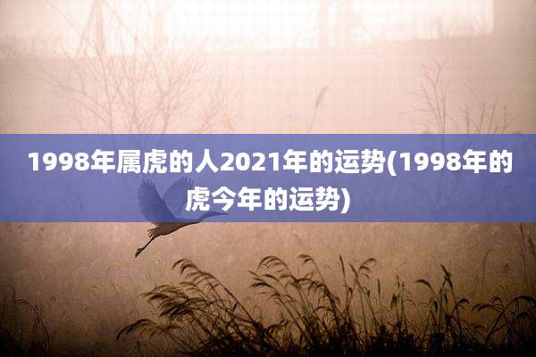 1998年属虎的人2021年的运势(1998年的虎今年的运势)