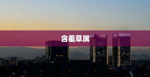 含羞草属