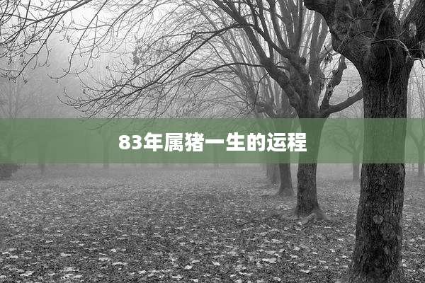 83年属猪一生的运程