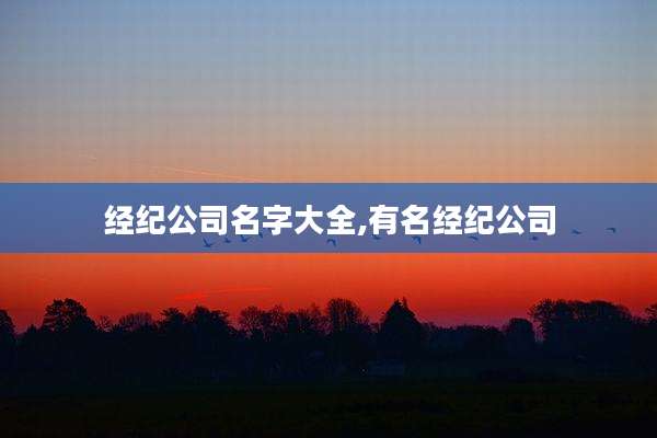 经纪公司名字大全,有名经纪公司
