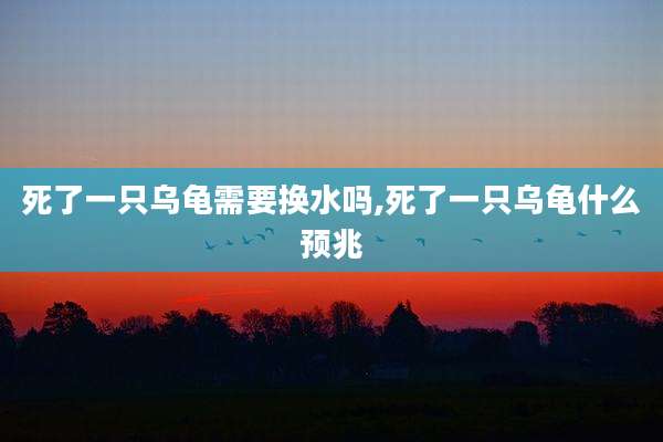 死了一只乌龟需要换水吗,死了一只乌龟什么预兆