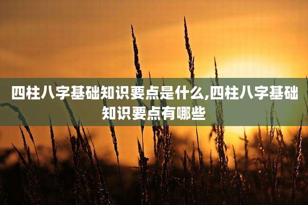 四柱八字基础知识要点是什么,四柱八字基础知识要点有哪些