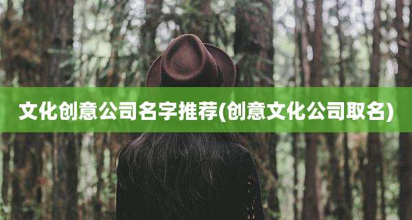 文化创意公司名字推荐(创意文化公司取名)