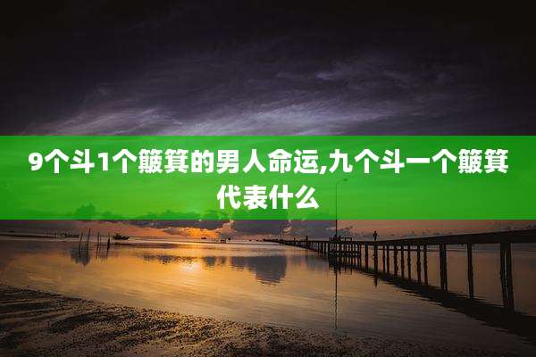 9个斗1个簸箕的男人命运,九个斗一个簸箕代表什么