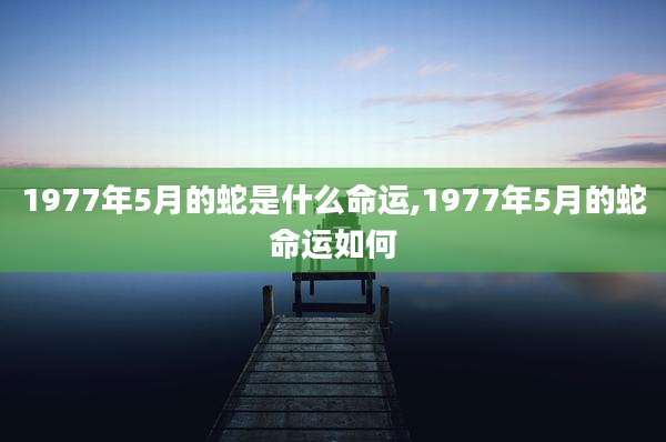 1977年5月的蛇是什么命运,1977年5月的蛇命运如何
