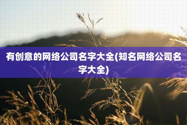 有创意的网络公司名字大全(知名网络公司名字大全)
