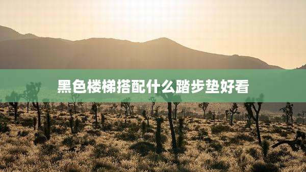 黑色楼梯搭配什么踏步垫好看