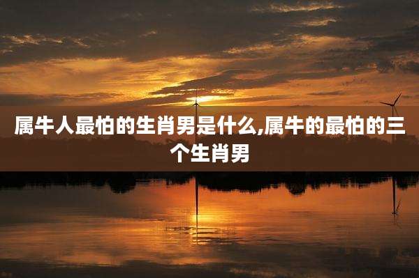 属牛人最怕的生肖男是什么,属牛的最怕的三个生肖男
