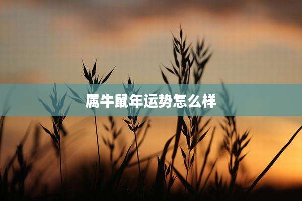 属牛鼠年运势怎么样