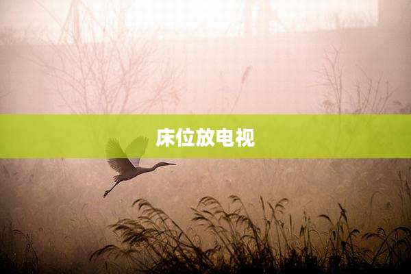 床位放电视