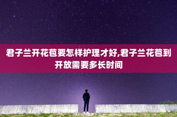 君子兰开花苞要怎样护理才好,君子兰花苞到开放需要多长时间