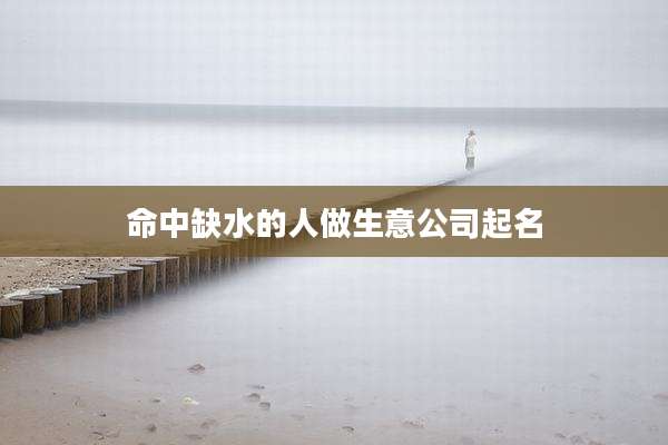 命中缺水的人做生意公司起名