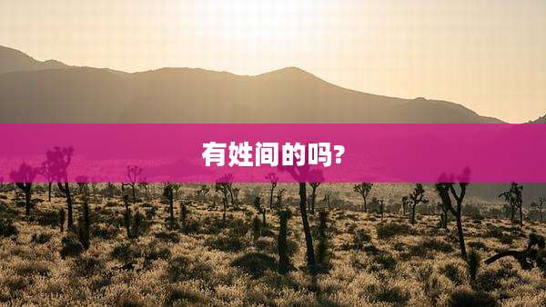 有姓间的吗?