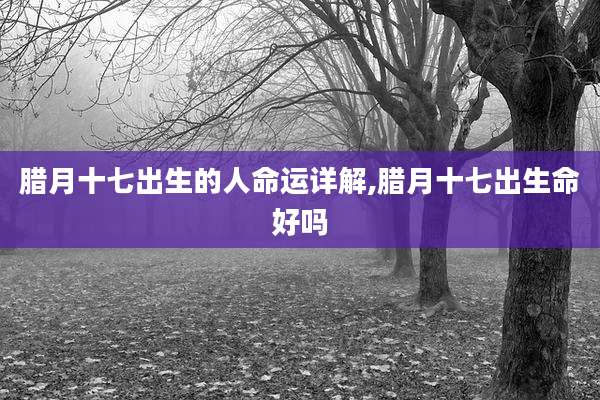 腊月十七出生的人命运详解,腊月十七出生命好吗