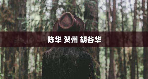 陈华 贺州 胡谷华