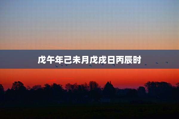 戊午年己未月戊戌日丙辰时