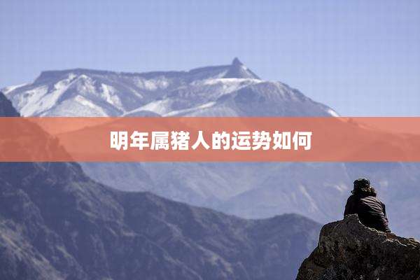 明年属猪人的运势如何
