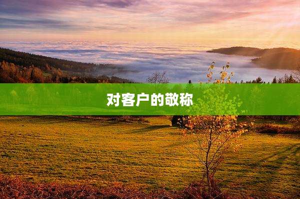 对客户的敬称