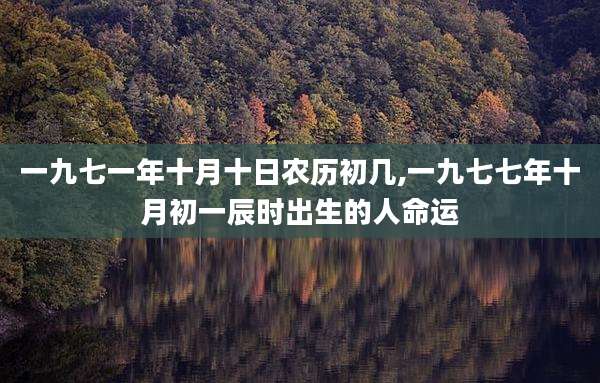 一九七一年十月十日农历初几,一九七七年十月初一辰时出生的人命运
