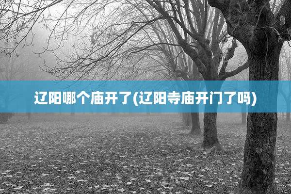辽阳哪个庙开了(辽阳寺庙开门了吗)