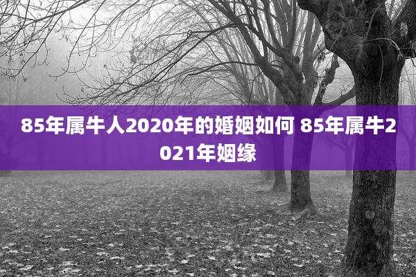 85年属牛人2020年的婚姻如何 85年属牛2021年姻缘