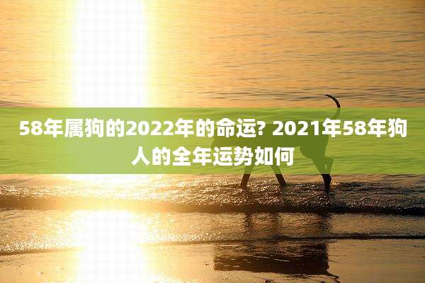 58年属狗的2022年的命运? 2021年58年狗人的全年运势如何