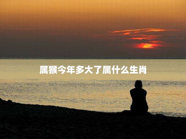 属猴今年多大了属什么生肖