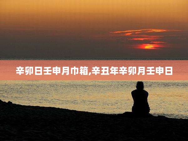 辛卯日壬申月巾箱,辛丑年辛卯月壬申日