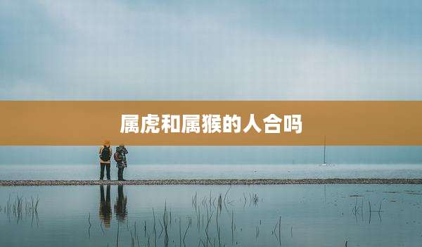 属虎和属猴的人合吗