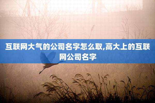 互联网大气的公司名字怎么取,高大上的互联网公司名字