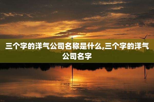 三个字的洋气公司名称是什么,三个字的洋气公司名字