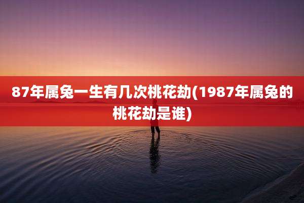 87年属兔一生有几次桃花劫(1987年属兔的桃花劫是谁)