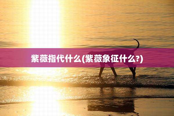 紫薇指代什么(紫薇象征什么?)