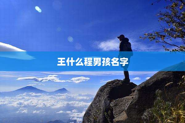 王什么程男孩名字