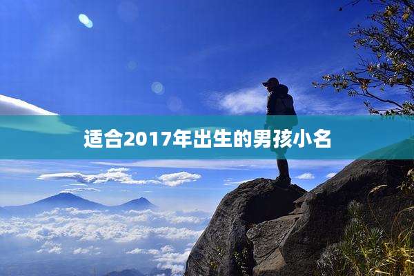 适合2017年出生的男孩小名