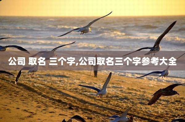 公司 取名 三个字,公司取名三个字参考大全