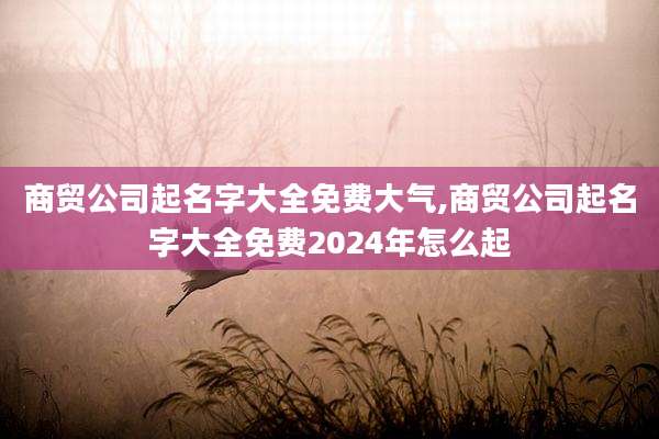商贸公司起名字大全免费大气,商贸公司起名字大全免费2024年怎么起