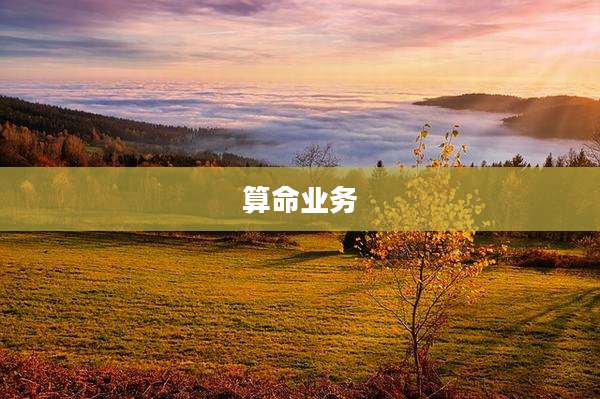 算命业务