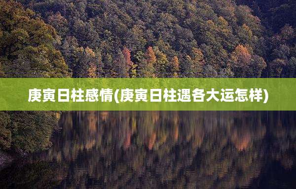庚寅日柱感情(庚寅日柱遇各大运怎样)