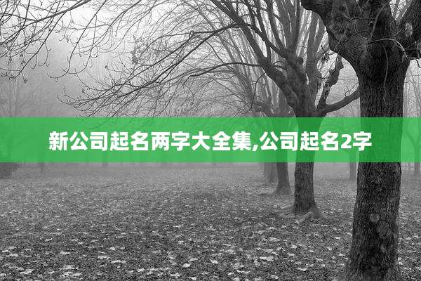 新公司起名两字大全集,公司起名2字